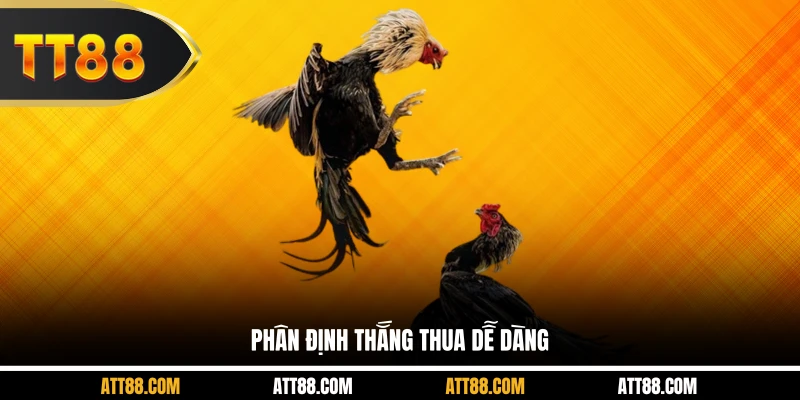 Phân định thắng thua dễ dàng